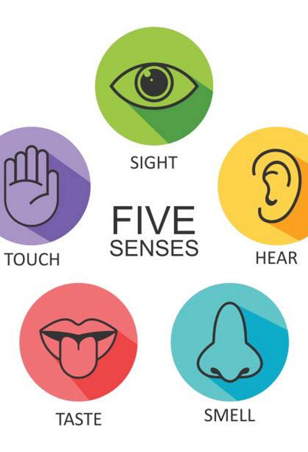 istockphoto-1324703871-612x612